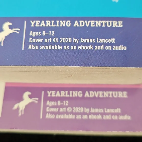 Mr. Lemoncello Box Set - Books 1-4 - Picture 8 of 8